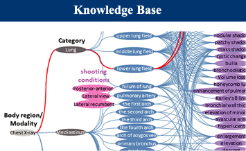 Knowledge Base