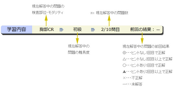 学習内容